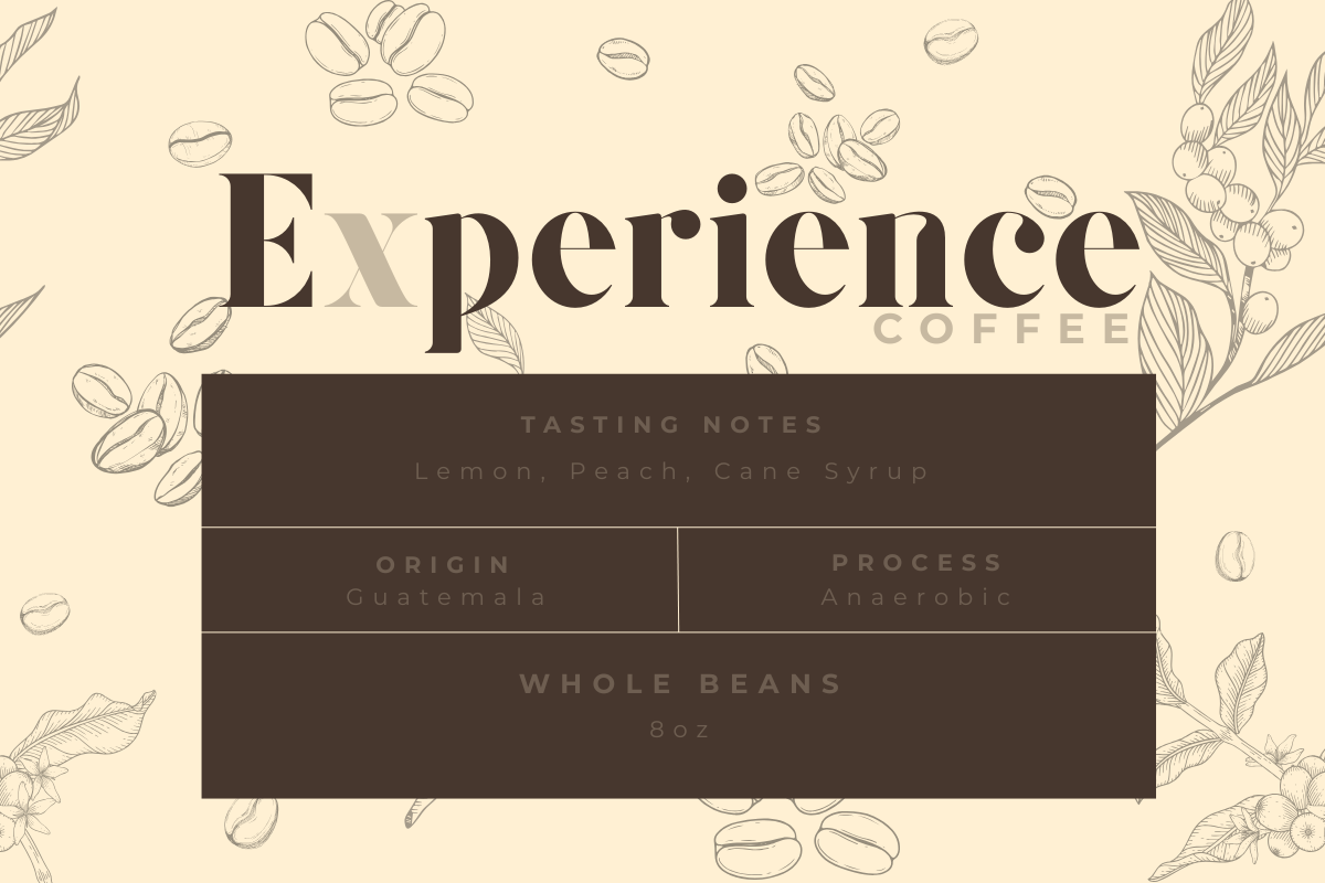 Guatemalan Anaerobic (8oz)